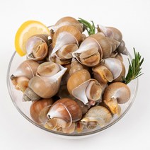 엄마농수산 생물 골뱅이 백골뱅이 백고동 탕 무침 비빔면 1kg 500g, 500g 소 (25미 내외)