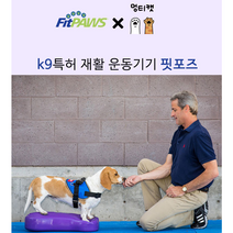 Fitpaws 핏포즈 강아지 훈련 노견 슬개골 디스크 허리 재활 치료 운동 짐볼 K9FITbone, 라지 1세트, 퍼플