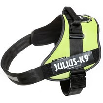 일본직발송 4. 율리우스 케나인 (Julius-K9) 율리우스 케나인 IDC 파워 하네스 네온 그린 사이즈 3 B004IQ, One Color