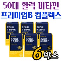 프리미엄 비타민비군 나이아신 판토텐산 영양제 6개월