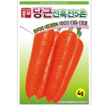 (당근종자씨앗) 신흑전5촌 당근씨앗 (4g) 근색 비대력