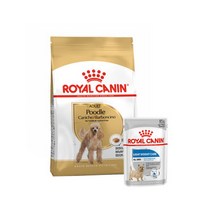 강아지사료 푸들 3kg+파우치 1P 증정, 로얄캐닌 강아지사료 푸들 3kg+