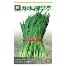 수세미 10립 수세미씨앗 수세미씨 스무드루파 시누아 채소씨 채소씨앗 야채씨앗 야채씨, 21_다농_차이나 왕부추(8g)