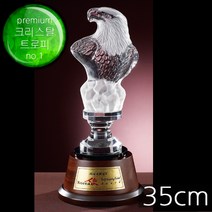 (트로피팩토리) 골프트로피 이글패 싱글패 홀인원패 골프상패 이글트로피 싱글트로피 홀인원트로피 홀인원기념패 TF6-09101