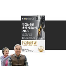 옵티 opti 옵티머스 관절 연골 MSM MSN 엠에스엔 엠에스엠 2000 약1개월분, 1개