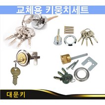 키뭉치 대문열쇠 대문키교체 자동개페기 현관키 키봉세트, 01번 키뭉치육각키