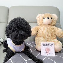 꼬잇 도어사인 강아지 고양이 디자인 문패 강아지가 짖어요 아크릴 스티커, 강아지_웰시코기