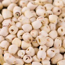 거피연자육 600g 껍질깐 연꽃씨앗 한방재료 한약재 한방차, 1ADO_거피연자육 600g