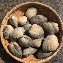 대합1kg 개조개 제철 캠핑모듬조개 해산물 수산물 어패류 바지락 째복 명주 비단 갈미 백합조개 백상합 모시 뿔소라 대왕 참가리비구이 키조개 전복 삐뚤이소라 밀고동 돌조개 흠스수산, 1개, 1kg