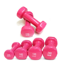 프로모릭스 PVC 미용아령 2개세트 0.5~2KG, PVC 미용아령 4Kg (2Kg x 2)