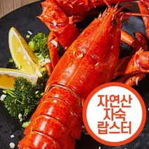 랍스터2kg캐나다활바닷가재 인기 상위 20개 장단점 및 상품평