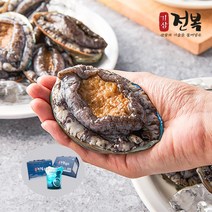 수산물특허 산지직송 기삼전복 1kg 특특대 꼬마 (6미-60미), 08기삼전복 특대 1kg 8-9미