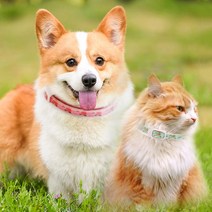 강아지 고양이 진드기 제거 해충방지 모기퇴치 목걸이, 대형(색상랜덤)