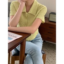 링클 카라 크롭 셔츠 블라우스