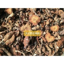 [신중국식품] zhen mo 개암버섯 깸버섯 중국동북개암버섯 깨미버섯, 500g, 1개