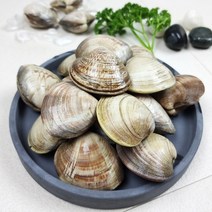 모듬조개세트 전복 왕가리비 돌조개 백생합 키조개 소라 등 실속 고급 최상급세트, 백상합 1kg