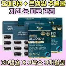 은행잎 추출물 지친 눈 피로 관리 rTG 오메가3 안구 건강 출 산 후 중년 플라보놀배당체 임산부 프리미엄 EPA DHA 혈행 건강 개선 50대 중학생 어르신 전연령 대용량 홈쇼핑