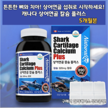 갱년기 칼슘제 칼슝 갈슘 무릎 관절에 좋은 식품 샤크 카트리지 칼슘 알약케이스 Shark Cartilage Ca 갈숨 뼈 치아 건강 캐나다 노인 어칼슘