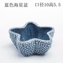금전수 거실 대형 행운목 화분 창조적 인 성격 중대형 구경 북유럽 스타일 블루 홈 귀여운 즙이 많은 도자기 특별 정리, 큰 파란색 불가사리 분지, 중간