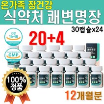 대용량 1년치 프로 바이오틱스 프리 장건강 아연 면역 직장인 선물 유산균 면역 관리 기능 식품 치커리 PGA 폴리 감마글루 홍삼 농축액 24개 약 12개월 12달 프락토 올리고당