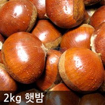 2022 햇밤대 2kg ~ 4kg 깐밤가능 공주부여 알밤 하양마트, 2022햇밤(대)2kg