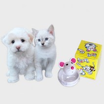 말썽쟁이여름 강아지 고양이 애견 애완견 반려견 소형견 중형견 펫 간식장난감 냥냥펀치 놀이기구 공 사냥놀이 토이볼 놀이 공놀이 혼자놀기, 1개, 핑크