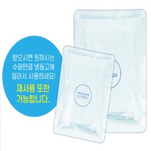 (대한) 아이스팩 완제품 중형 (15 X 20) 54EA (1박스), 대한 아이스팩 완제품 중, 1개
