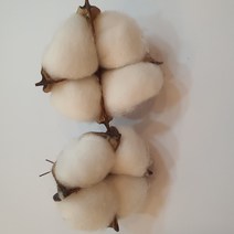 밍블랑 목화 시나몬스틱 소품 DIY 만들기 셀프 인테리어 아로마 라벤더, 추가상품-목화솜 1개