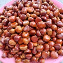 공주알밤농원 2023정안햇밤, 특대, 4kg, 1개