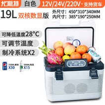 차량용냉장고 화물차 휴대용 미니 캠핑 아이스, 19L 듀얼 코어 디지털 12V/24V/220V  3용
