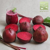 2022년 유기농 햇 레드비트 5kg / 10kg, 유기농 레드비트 5kg, 1개