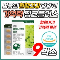 징코 혈행 건강 기억력 개선 영양 제 진코 민 빌로바 은행잎 추출물 남성 여성 다리 허벅지 종아리 붓기 혈액 순환 하체부종 두 뇌 건강 수험생 직장인 50대 60대 홈쇼핑 손 발, 60정, 9박스