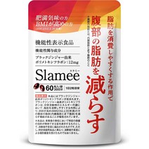 슬라미 체중관리 슬림 팻버닝 60정, 상품선택