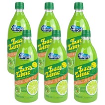 레이지 라임주스 라임즙 1L, 6개