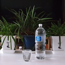 2L 500ml 천연 알카리수 미네랄워터 생수 먹는샘물 천연암반수 물, 지리산수 2L x 24병 : 1박스
