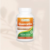 베스트내추럴스 퀘르세틴 효능 500mg 식물성캡슐 120정