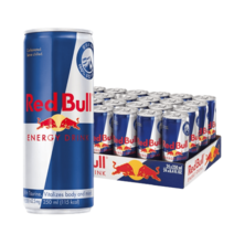 레드불 에너지 드링크 오리지널 250ml 24캔, 레드불 슈가프리 250ml 24캔, 24개