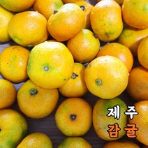 홍이네 제주 감귤 새콤달콤 고당도 밀감 하우스, 500g 하우스감귤(팩포장), 1개