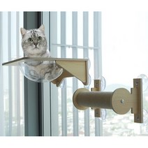 윈도우해먹 캣스탭 고양이구름다리 벽선반, B