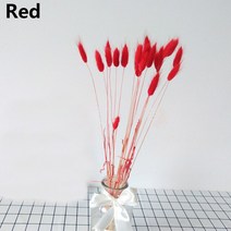 자연 말린 꽃 화이트컬러 인조 20 개 다채로운 토끼 꼬리 잔디 꽃다발 긴 묶음 식물 줄기 장식, [04] 레드4