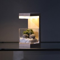 모던포인트 원목 플랜테리어 LED 식물 무드등, [05] 이오난사 회색자갈 솔방울 SET, 어댑터, 브라운 멀바우
