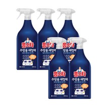 홈스타 주방용 세정제 500ml 5개, 단품