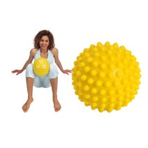 피트니스 복근운동 소도구 돌기 고슴도치 공 근력운동, 제품선택, 옵션2: 20cm 1개