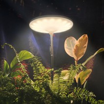 식물전파사 빛뿌리개 시즌2 식물등 LED 식물조명 성장 생장, 화이트