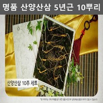 강원도 5년근 산양삼 재배 산양 산삼 10뿌리 장뇌삼 선물세트 부모님 어르신 사장님 선물 장모님 장인어른 할아버지 선물 추석 설날 명절 선물