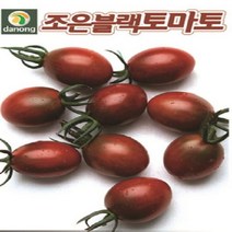 조은블랙방울토마토(1000립) H0032