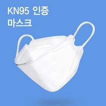 1번가 KN95 대형 마스크 50매, 1팩
