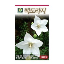 다농 백도라지씨앗 1000립, 1개