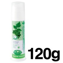 IHQ055027[JJ] 덴티스테 나이트 타임 치약(펌프 120g), 1