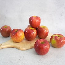 [더조은] 아리수 사과 가정용 3kg 17-18과, 단품